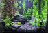 Natural Slate Stone - 1/8 to 1/4 inch Slate Gravel for Aquariums, Bonsai, and Miniature Gardens