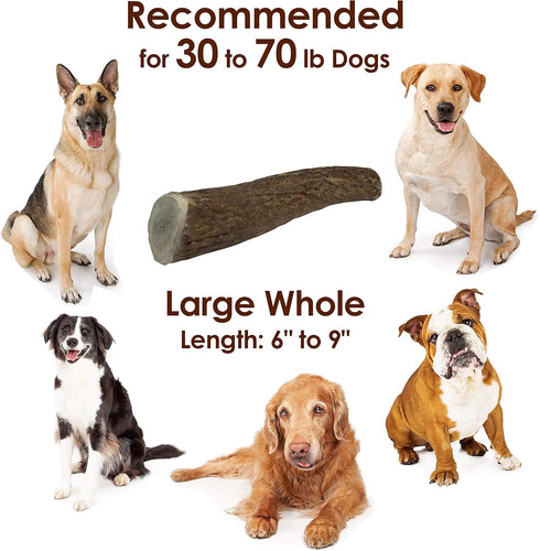 Elk Antler Chews for Dogs | Naturally Shed USA Collected Elk Antlers | All Natural A-Grade Premium Elk Antler Dog Chews | Product of USA, Single Pack Large Whole