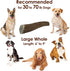 Elk Antler Chews for Dogs | Naturally Shed USA Collected Elk Antlers | All Natural A-Grade Premium Elk Antler Dog Chews | Product of USA, Single Pack Large Whole