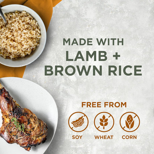 Blackwood Sensitive Skin & Stomach Dry Dog Food, Lamb Meal & Brown Rice, 10 lb Bag with Prebiotics & Probiotics