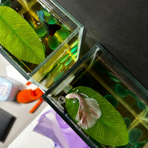 DOBA No Wire Betta Bed Leaf Hammock, Silk Betta Fish Leaf Hammocks Pad Lounger Toys for Fish Tank (2pcs), Green