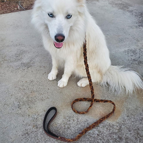 Blazing Paws Vibrania Super Soft Braided Leather Dog Leash, Heavy Duty with Side Ring, 6 Ft L x 3/4" W, Brown Mix