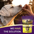 Zignature Turkey Limited Ingredient Formula Biscuit Dog Treats, 12oz