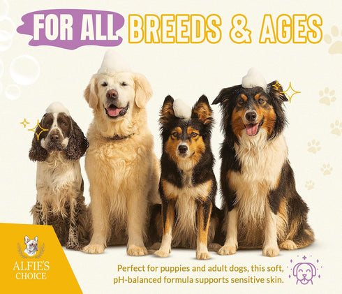 16 oz 5-in-1 ALFIE'S CHOICE Oatmeal Dog Shampoo and Conditioner for Itchy Skin Relief | fl | Puppy Shampoo