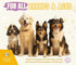 16 oz 5-in-1 ALFIE'S CHOICE Oatmeal Dog Shampoo and Conditioner for Itchy Skin Relief | fl | Puppy Shampoo