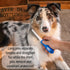 Ultimate Pet Dematting & Deshedding Set, 3 in 1 Grooming Tool Set, Dual Sided Rake, Dematting Razor Comb