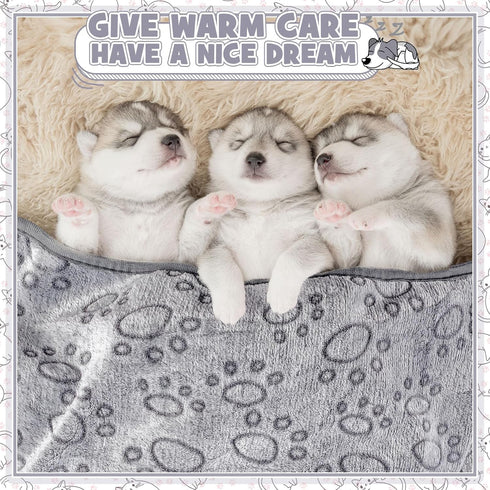 12 Pieces Pet Blanket, Soft Fleece Dog Fluffy Warm Felt Throw with Cute Paw Print for Puppy Kitten Sleep Mat (Gray, 23