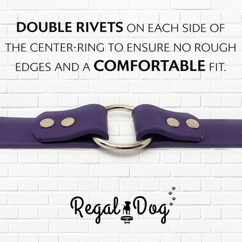 Regal Dog Products Small Purple Dog Collar with Heavy Duty Double Buckle & D Ring, Adjustable Biothane Chew Resistant