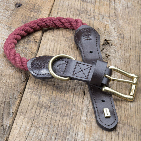 Embark Pets Country Dog Rope Collar - Braided Cotton and Rolled Leather Dog Collar for Small Dogs - Durable Dog Collars for Small Dogs and Strong Build for Training, Walking, Running (Small, White)