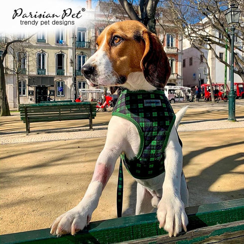 Parisian Pet Dog Leash - 4Ft Heavy Duty Scottish Green Plaid Print Nylon Doggie Walking Leash for Small and Medium Dogs