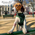 Parisian Pet Dog Leash - 4Ft Heavy Duty Scottish Green Plaid Print Nylon Doggie Walking Leash for Small and Medium Dogs