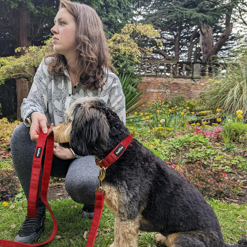 PetiFine Dog Collar and Leash Set, Adjustable Red Velvet Collar, Super Soft with Metal Buckle for Small Medium Large
