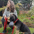 PetiFine Dog Collar and Leash Set, Adjustable Red Velvet Collar, Super Soft with Metal Buckle for Small Medium Large