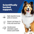 12.8 oz. 12-Pack Hill's Science Diet Adult Sensitive Stomach & Skin Wet Dog Food, Chicken & Vegetable, Cans