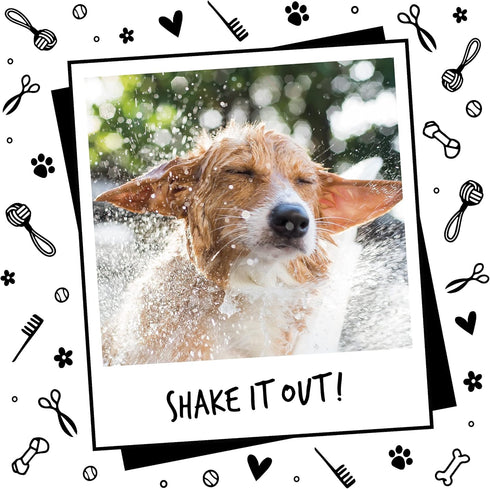 Dog Shampoo by Bugalugs, Lavender & Chamomile 4 in 1 Grooming Shampoo for Smelly Dogs, Vegan