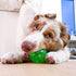 2.5 Inch Hyper Pet DuraSqueak Dog Ball Toy, Interactive Dog Toys that Float and Squeaks for Playing, Fetching