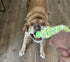 2 Piece Dog Training Ball on Rope, Cotton Rope Tug Ball Toy for Big and Small Dogs