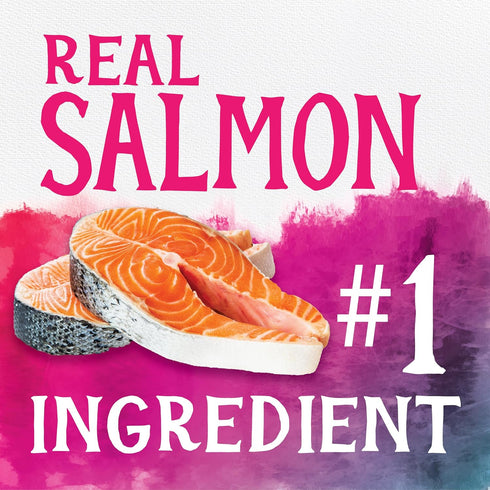Triumph Free Spirit Deboned Salmon & Chickpea Recipe Dry Cat Food, 3 lb