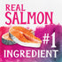Triumph Free Spirit Deboned Salmon & Chickpea Recipe Dry Cat Food, 3 lb