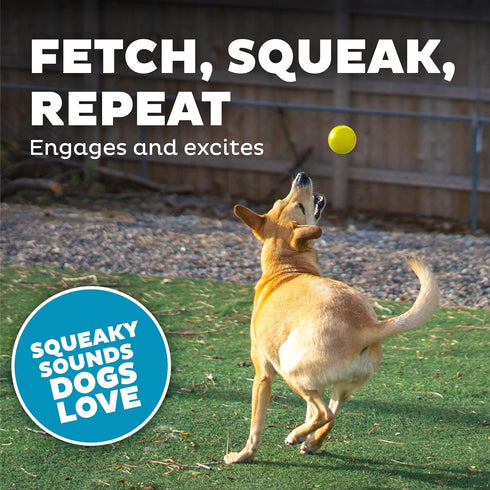 Outward Hound Orbee-Tuff Squeak Ball, Yellow Dog Fetch Toy