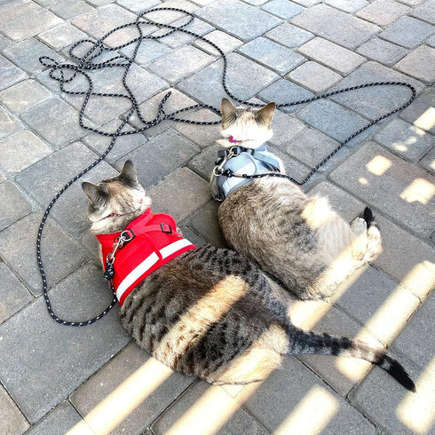 Cat Leash - 15 ft / 30ft Reflective Long Outdoor Leash for Walking Training, Escape Proof for Cats, Small Dogs