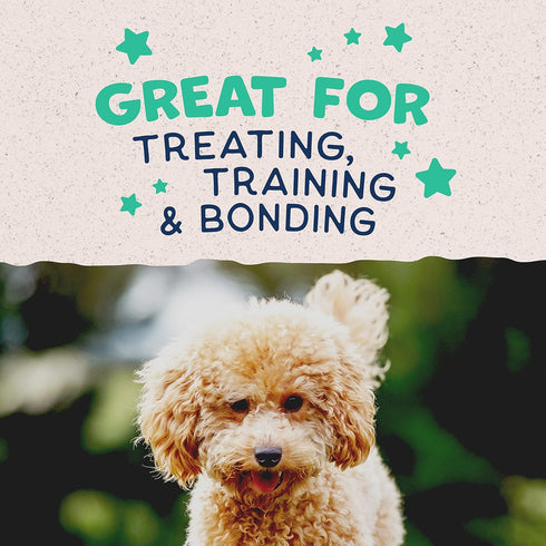 Natural Balance Limited Ingredient Mini-Rewards, Chicken Grain-Free Training Treats for Dogs, 5.3-oz Canister