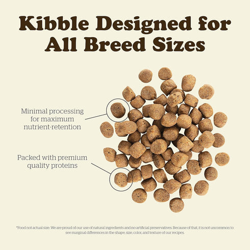 Now Fresh Dry Dog Food, Turkey, Salmon, Duck Recipe, 3.5 lbs, Grain Free, Real Meat and Fish for All Breeds
