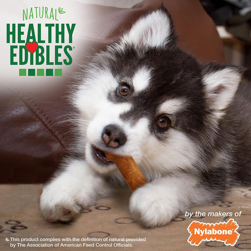 Nylabone Healthy Edibles Natural Puppy Chews, Long Lasting Turkey & Sweet Potato Flavor, X-Small/Petite (4 Count)