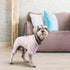 2-Pack Lightweight Cotton Dog Pajamas for Small Medium Dogs and Cats, Cute Baby Dog Jumpsuit I Love My Mommy/Daddy