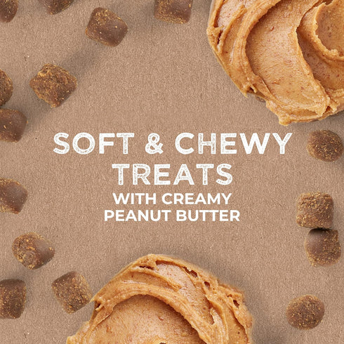 Cloud Star Tricky Trainers Soft & Chewy Dog Training Treats, Peanut Butter Flavor, 5 oz Pouch
