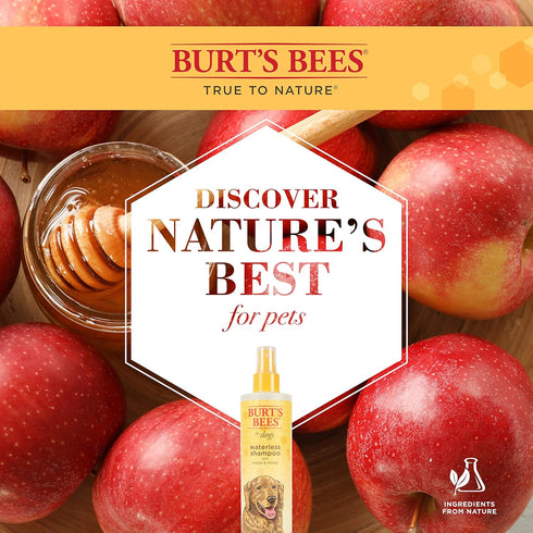 Burt's Bees for Pets Waterless Shampoo Spray with Apple and Honey, 10 Ounces - Cruelty Free Dry Dog Shampoo, 2 Pack