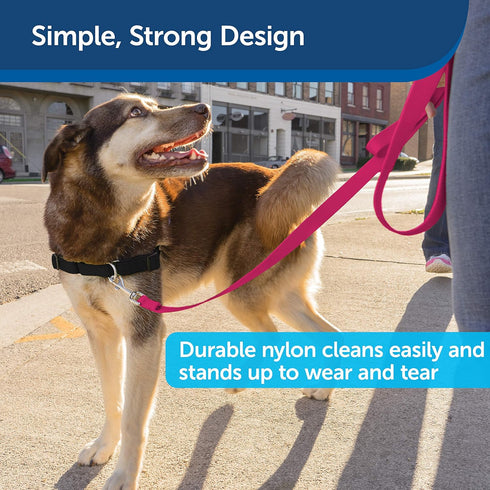 PetSafe Nylon Dog Leash - Strong, Durable Traditional Style with Easy Bolt Snap (3/4 in. x 3 ft., Raspberry Pink)