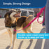 PetSafe Nylon Dog Leash - Strong, Durable Traditional Style with Easy Bolt Snap (3/4 in. x 3 ft., Raspberry Pink)