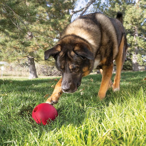 KONG Ball with Hole - Durable Dog Fetch Toy for Training, Interactive Playtime & More - Classic Natural Rubber Ball