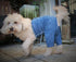 Original Dog Pants - E-Collar Alternative for Medium Dogs, Blue