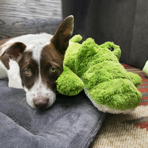 2 Pack KONG XL - Soft Plush Dog Toy for Large Breeds - Durable, Cuddly & Squeaky - Perfect for Play & Comfort