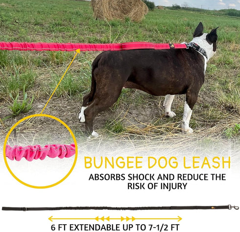 Heavy Duty Bungee Dog Leash - 6 ft - 7.5 ft for Large Medium Dogs, Reflective, Pink