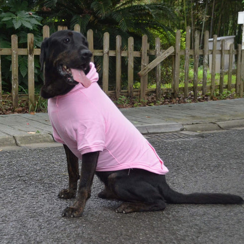 Lovelonglong Blank Basic Hoodie Sweatshirt for Dogs, 100% Cotton, Fits Small to Large Dogs (Pink M)