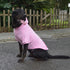 Lovelonglong Blank Basic Hoodie Sweatshirt for Dogs, 100% Cotton, Fits Small to Large Dogs (Pink M)