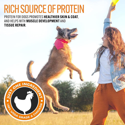 Emmy's 100% 8oz Best EBPP Chicken Jerky Dog Treats Made in USA - Natural Jerky Treats Made with Real Chicken - Grilled
