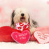 Romantic Heart Pattern Bandana for Dogs and Cats - Perfect for Valentine's Day