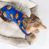 Fitwarm Cute Bear Dog Pajamas, Dog Clothes for Small Dogs Boy Girl, Fleece Pet Onesie with Feet, Royal Blue, Brown, XXL