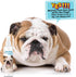 The Blissful Dog 4-Ounce Blissfully Fresh Face Wash for Bulldog, Cleans Facial Folds and Wrinkles