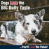 5 Count Cadet Bully Hide Sticks for Small Dogs, All-Natural Beef Pizzle, Limited-Ingredient Long-Lasting Dog Chews