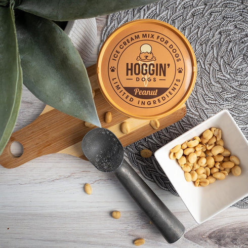 Puppy Cake Hoggin' Dogs Ice Cream Mix, All Natural Peanut Flavor, Just Add Water and Freeze, 4.65 oz