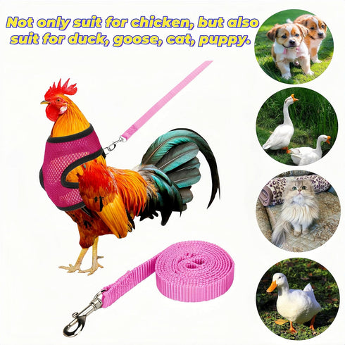 Magnoloran 3 Pack Set Chicken Harness and Leash Adjustable Hen Vest with Matching Belt Breathable Mesh Training Harness