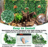 2 (24 16 Inch) PINVNBY PCS Hermit Crab Climbing Toys Hermit Crab Climbing Wall with Suction Cups Plastic Faux Grass Mat