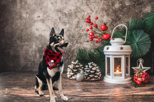 Generic 4 Pack- Set 2 2 MIANOOMAG Dog Christmas Bandanas Large Classic Triangle Merry Christmas Printing Plaid Fall Pet