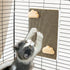 Cat Scratching Post for Cage - Cage Wall Mounted Cat Scratcher, Cardboard Scratcher, SCRC-30X20