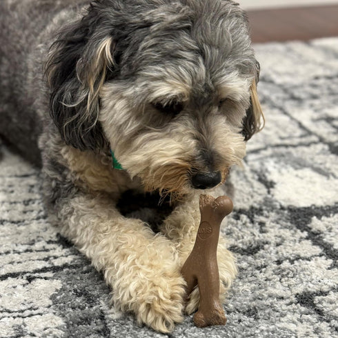 SPOT Bam-Bones Wishbone Dog Chew - Durable Bamboo Fiber Toy for Light to Moderate Chewers, 5.25in, Bacon Flavor